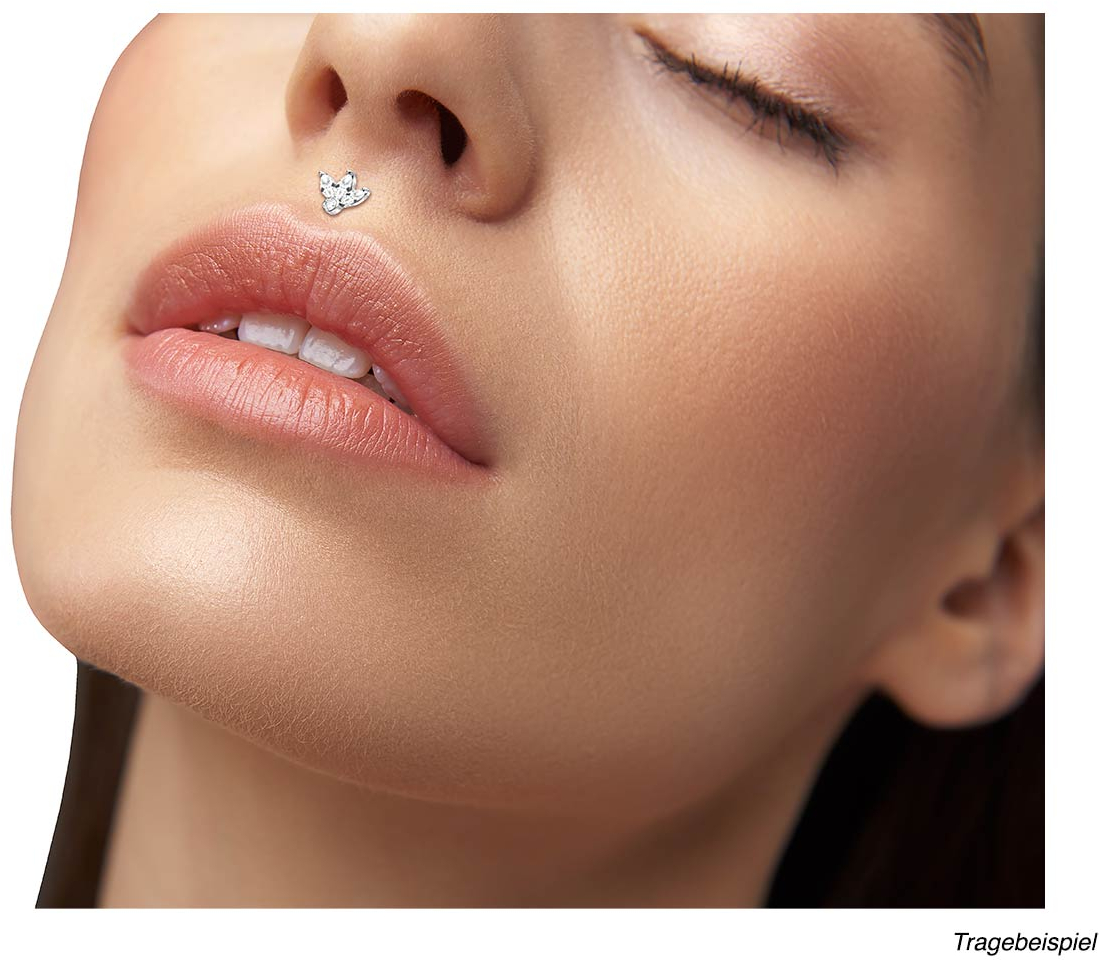 Ptfe labret sales